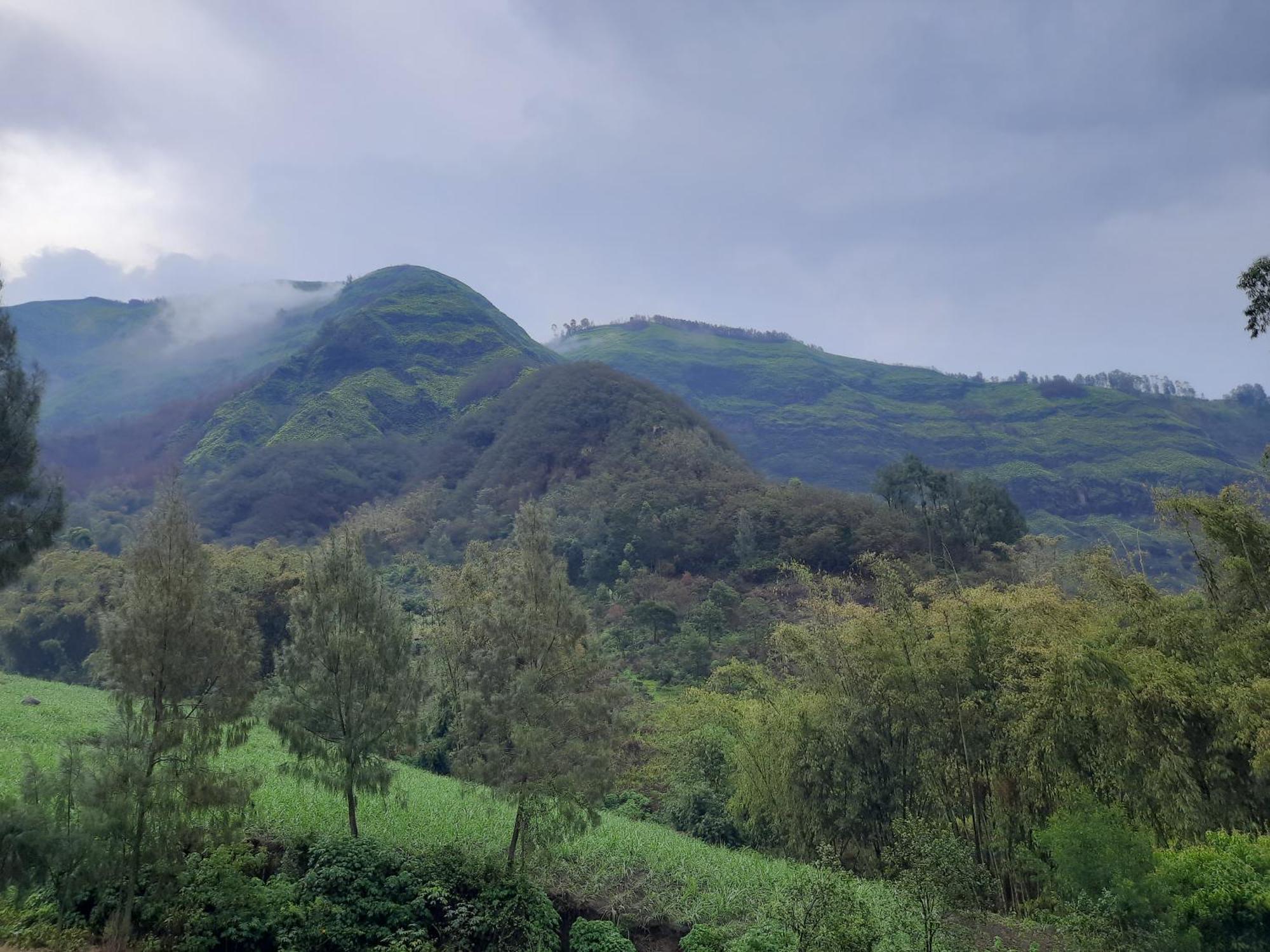 Bromo Dormitory & Cabin Екстер'єр фото